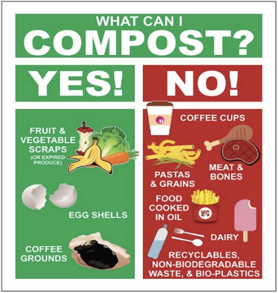 What Can I Compost?